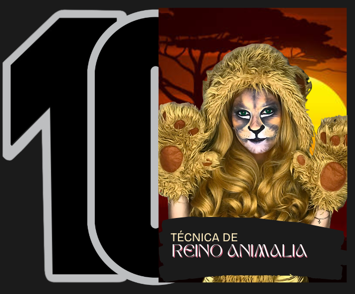 img-mod-netflix (10)